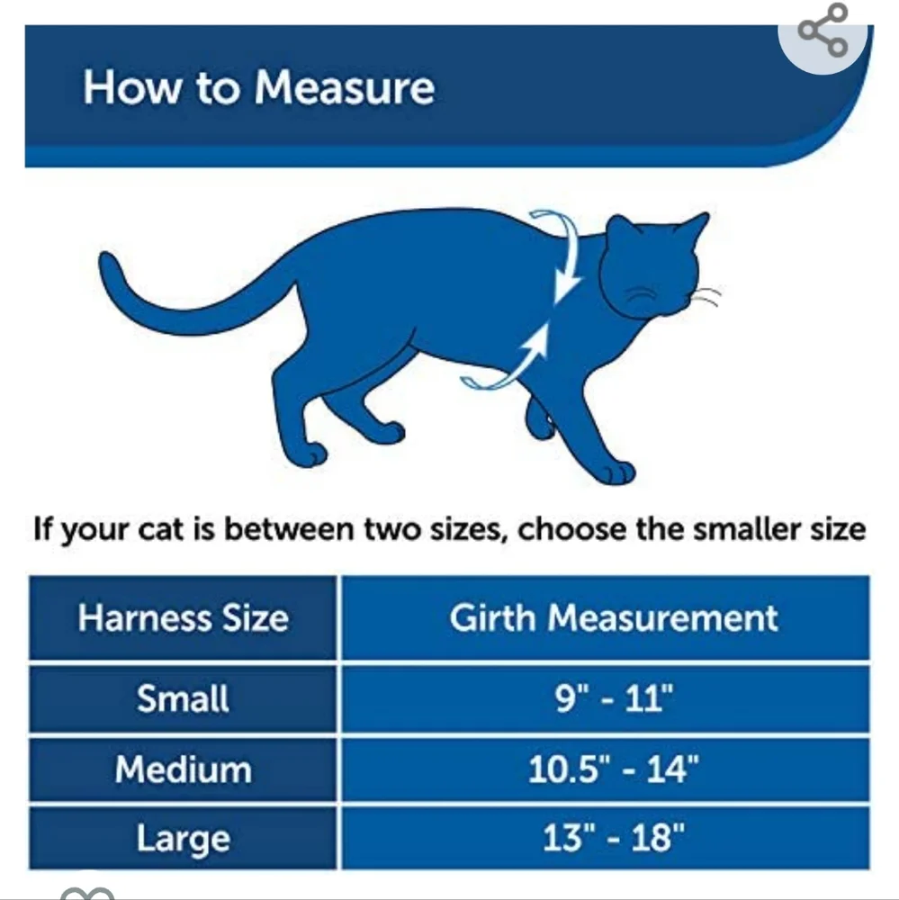 Cat harnesses